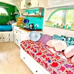Bohemian