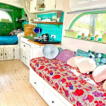 Bohemian