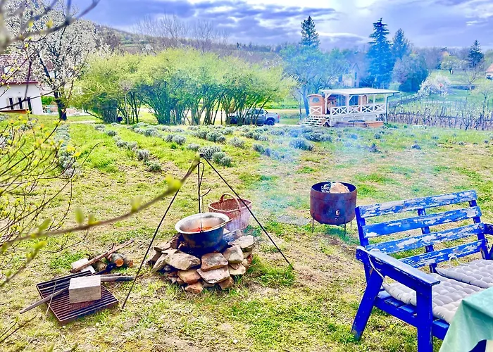 Bohemian * Kisapati